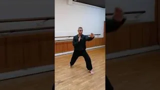 Miniature : Kung-Fu - Enchaînement court