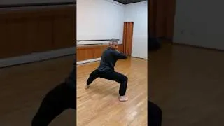 Miniature : Kung-Fu - Enchaînement court