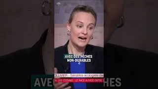 Miniature : Il faut réguler les pêches intensives !