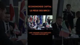 Miniature : LE PIÈGE DES BRICS