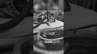 Miniature : Photos 19 😱#photography #photo #history #foryou #edit #shortvideo #viral #abonnetoi @Paolessio