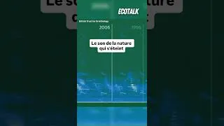 Miniature : Le son de la nature qui s’éteint…