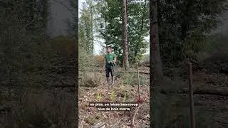 Miniature : Forêt de Launay Guen, atelier plantation d'arbres & explications sur la gestion forestière | EcoTree