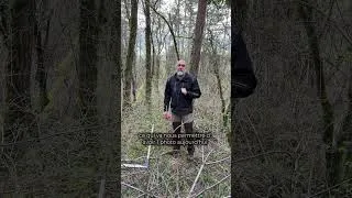 Miniature : Mesurer la surface terrière d’une forêt au relascope avec le gestionnaire forestier Arnaud De Grave