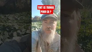 Miniature : Le potager c'est pas rentable ?
