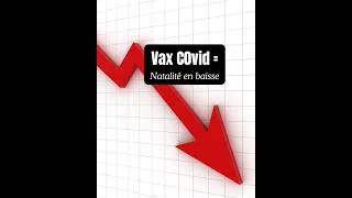 Miniature : Vas C0vidu = natalité en baisse