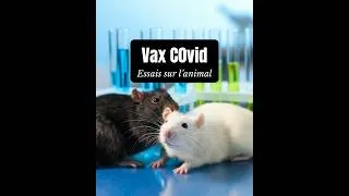Miniature : Ex-cadre chez PFIZER, il parle.