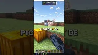 Miniature : COMMENT UTILISER LE DODO DANS MINECRAFT MARVELOUS MENAGERIE PARADOXICAL