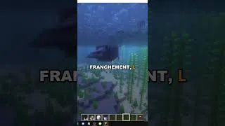 Miniature : COMMENT OBTENIR LA VACHE DE MER DE STELLER DANS MINECRAFT LA MÉNAGERIE PARADOXALE