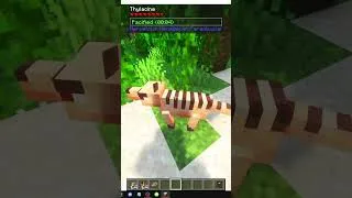 Miniature : COMMENT TROUVER LE THYLACINE DANS MINECRAFT MÉNAGERIE PARADOXALE