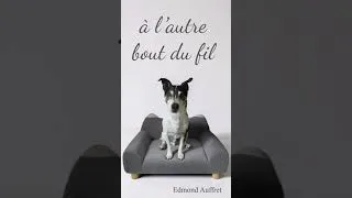 Miniature : à l'autre bout du fil - Edmond Auffret