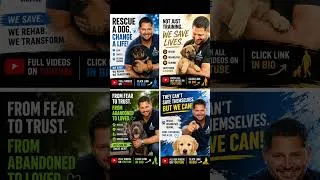 Miniature : dogs training #erictramson #educationcanine #dogtraining