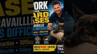 Miniature : k9 dogs protection