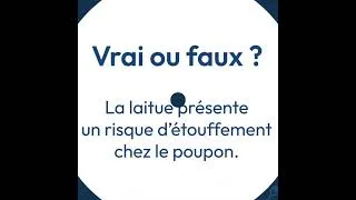 Miniature : Guide Papille