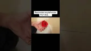 Miniature : Raccorder un plafonnier avec pot DCL
