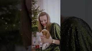 Miniature : Le comportement au quotidien du Cavalier King Charles
