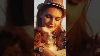 Miniature : Le caractère du Cavalier King Charles