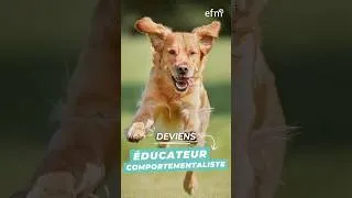 Miniature : Comprendre les chiens & chats : un vrai métier 🐕 Formation éducateur comportementaliste d'EFM !