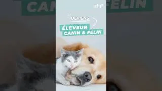 Miniature : Comment devenir éleveur canin et félin ? 🐱🐶 Découvre la formation éleveur animalier d'EFM !
