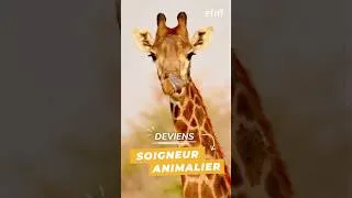Miniature : Travailler dans un zoo : voici comment 🐾🦁 Formation #SoigneurAnimalier