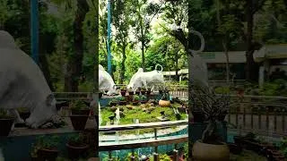 Miniature : 🇮🇳 Bienvenue en Inde