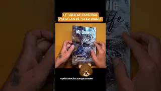 Miniature : LIVRE COLLECTOR STAR WARS TRES POILUE ! 😂📖 (My Chewie Life)