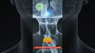 Miniature : LE SECRET pour stopper le STRESS instantanément ! 🧠⚡️