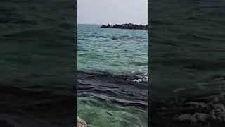 Miniature : 강릉 바다  ville de gangleung a l'Est de la corée du sud