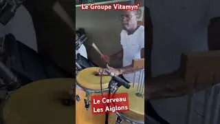 Miniature : Le Cerveau - Les Aiglons de la Guadeloupe