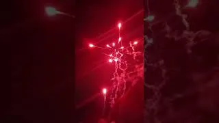 Miniature : fin ducasse d'ath 2026 #ath #2026 #ducasse feux d'artifice 🎆 #belgium