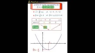 Miniature : Variation et courbe représentative d'une fonction polynomiale de 2nd degré  #mathslycée