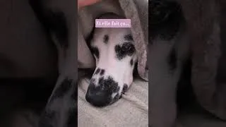 Miniature : Je croyais qu'elle dormait... je ne m'attendais pas à ça 💖