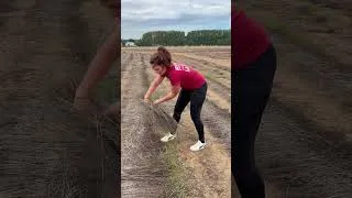 Miniature : « Nan mais sérieusement c’est quoi ce travail ?! » 😂 #agriculture #farmer #farmlife #agri #farm