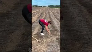 Miniature : La petite sortie du dimanche en famille  ! 😂 #farmlife #agriculture #agrilife #farmer #farm