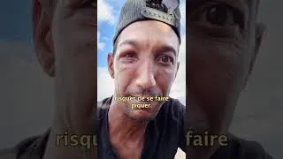 Miniature : Une tradition menacée ? Portrait d’Aldo, chasseur de guêpes depuis 30 ans. #laréunion
