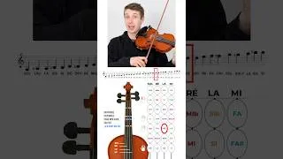 Miniature : Connais-tu ces notes sur la corde de la #violon #musique #cordes #notes #partition #violoniste