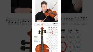 Miniature : Toutes les notes possibles à jouer en 1ère position sur la corde de ré 🎶 #violon #violoniste #notes