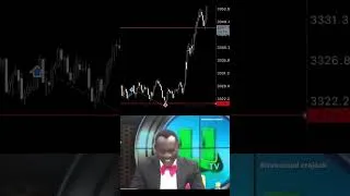 Miniature : Le cauchemar d'un trader 🤣🤣