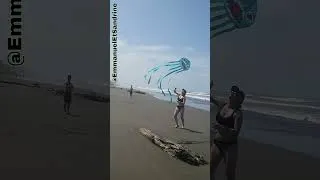 Miniature : Plage Costa Rica - Pacifique et Cerf-volant