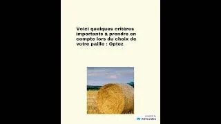 Miniature : 4critères pour choisir la paille parfaite et réussir votre culture de champignons !
