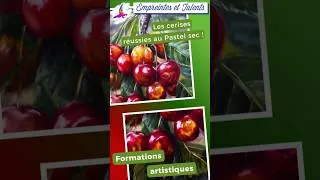 Miniature : Les Cerises au pastel sec.