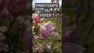 Miniature : 24°C vs NEIGE : La météo devient FOLLE au potager ! 🌸❄️   #vlognature #potager
