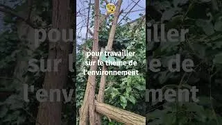 Miniature : Teaser - On s'active pour la biodiv !