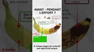 Miniature : 20 avril 2026