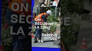 Miniature : Pourquoi une canicule peut provoquer des coupures de courant ?