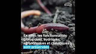 Miniature : Idée reçue : les centrales solaires artificialisent les sols