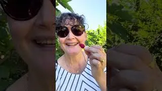 Miniature : Are you ready for my FREE live summer workshop?