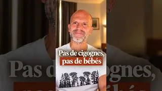 Miniature : Cigognes et naissances   le piège des corrélations