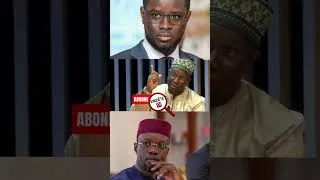 Miniature : Cheikh Oumar Diagne crache ses vérités…