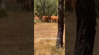Miniature : Reunion’Teams dans 5 minutes tout le monde est là ? 🤣
